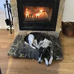 El Secreto Del Pinar Casa vacanze