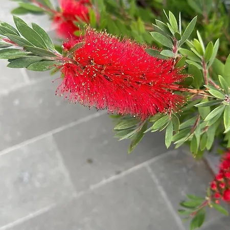 El Secreto Del Pinar * El Hoyo de Pinares
