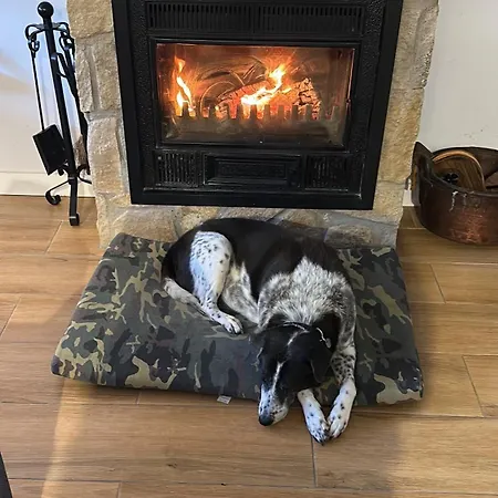 El Secreto Del Pinar בית נופש