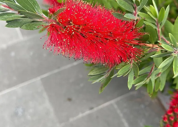 El Secreto Del Pinar * El Hoyo de Pinares