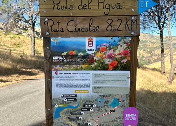 El Secreto Del Pinar * El Hoyo de Pinares