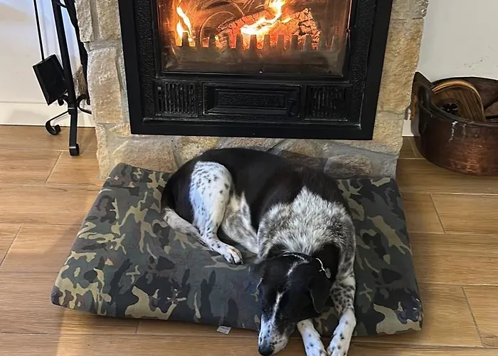 El Secreto Del Pinar Hébergement de vacances